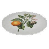 PLANCHE À DÉCOUPER CARTE : BITTER ORANGE BLOSSOM (Coin)