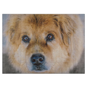 Planche À Découper Carte de découpe photo de chien mou