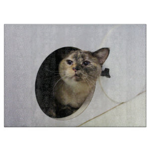 Planche À Découper Cat