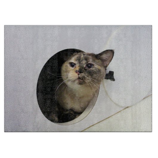 Planche À Découper Cat (Devant)