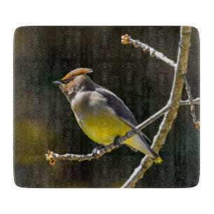 Planche À Découper Cèdre cire Songbird Photo originale Oiseau sauvage