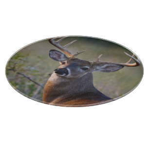 Planche À Découper cerf de Virginie Odocoileus virginianus