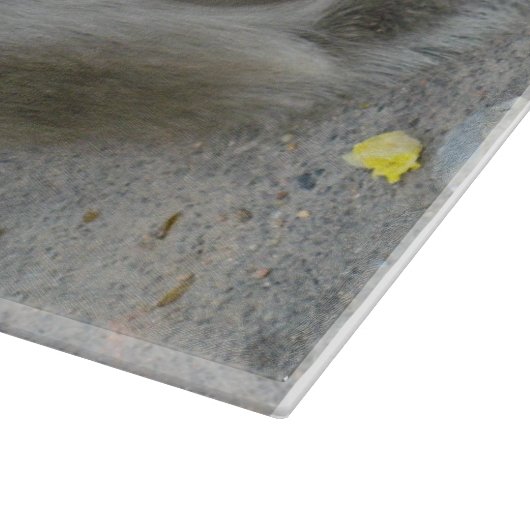 Planche À Découper C'est à moi ! ! ... Singe Macaque thaïlandais sauv (Coin)