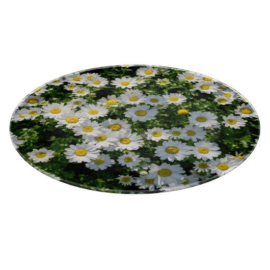 Planche À Découper Champ de marguerite du printemps : Arrière - plan  (Coin)