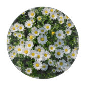 Planche À Découper Champ de marguerite du printemps : Arrière - plan  (Devant)