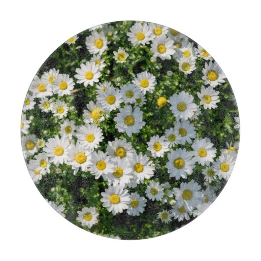 Planche À Découper Champ de marguerite du printemps : Arrière - plan  (Devant)