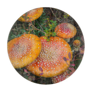 Planche À Découper Champignons amanite tue-mouche au lac Mowich