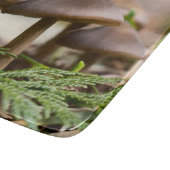 Planche À Découper Champignons dans la forêt (Coin)