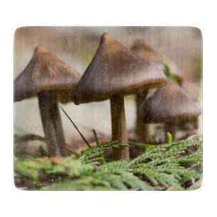 Planche À Découper Champignons dans la forêt