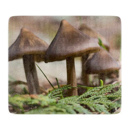 Planche À Découper Champignons dans la forêt (Devant)