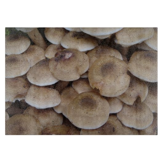 Planche À Découper Champignons poussant dans une grappe d'art photo o (Devant)