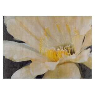 Planche À Découper Charlemagne Echinopsis en fleurs