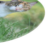 Planche À Découper Chat marron et blanc (Coin)