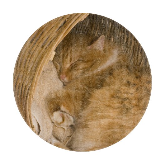 Planche À Découper Chat tigré orange dormant dans un panier (Devant)