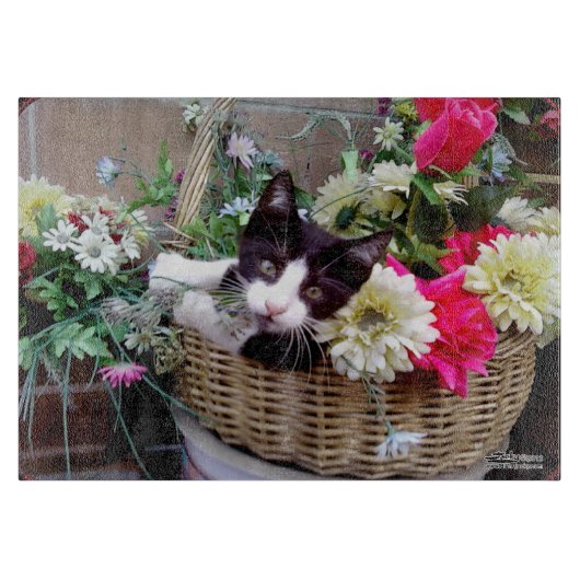 Planche À Découper Chaton dans un panier (Devant)