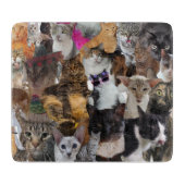 Planche À Découper Chats Galore, Petit Verre (Devant)