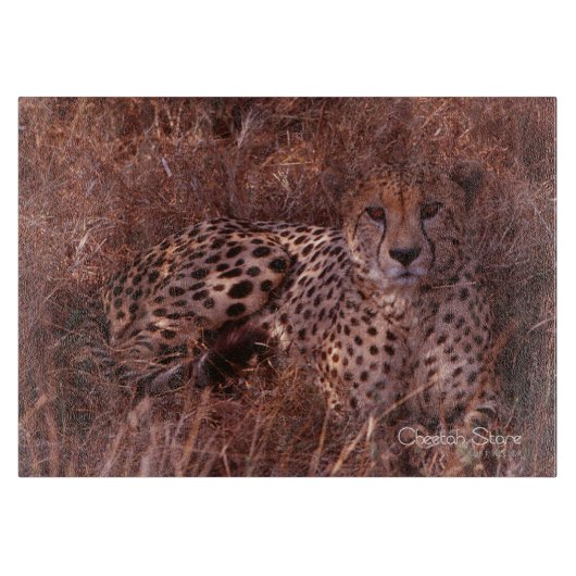 Planche À Découper Cheetah Stare (Devant)