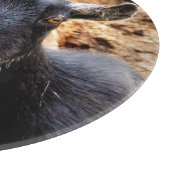 PLANCHE À DÉCOUPER CHÈQUE (Coin)