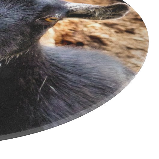 PLANCHE À DÉCOUPER CHÈQUE (Coin)