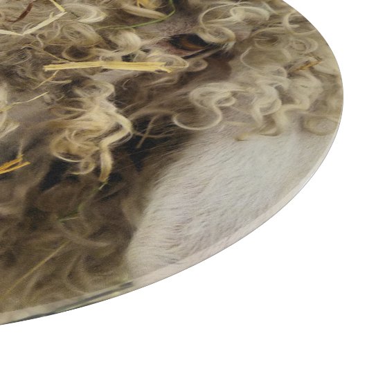 PLANCHE À DÉCOUPER CHÈQUE CUTE (Coin)