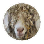 PLANCHE À DÉCOUPER CHÈQUE CUTE (Devant)