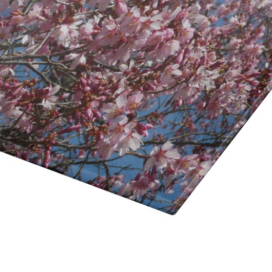Planche À Découper Cherry Blossoms et Blue Sky Spring Floral (Coin)