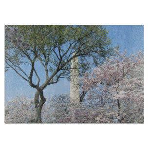 Planche À Découper Cherry Blossoms et le monument de Washington à DC