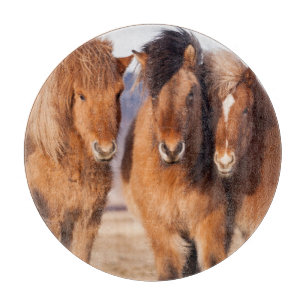 Planche À Découper Cheval islandais en hiver