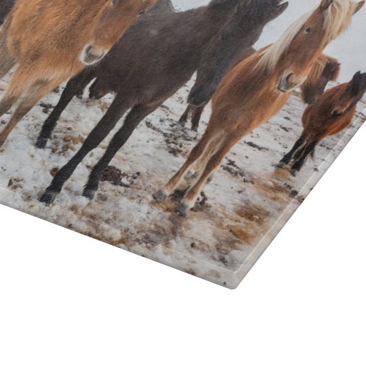 Planche À Découper Cheval islandais en hiver en Islande (Coin)