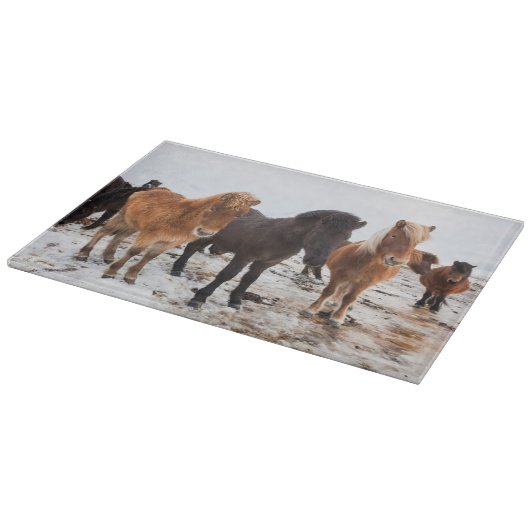 Planche À Découper Cheval islandais en hiver en Islande (Coin)