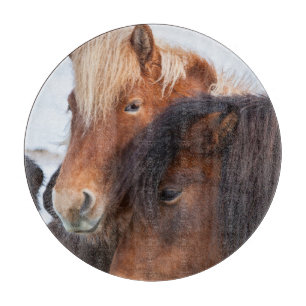 Planche À Découper Cheval islandais en hiver en Islande