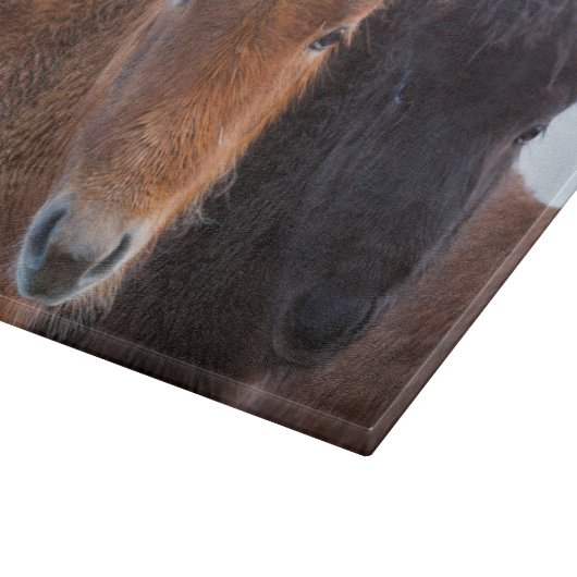 Planche À Découper Cheval islandais en hiver en Islande (Coin)