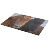 Planche À Découper Cheval islandais en hiver en Islande (Coin)