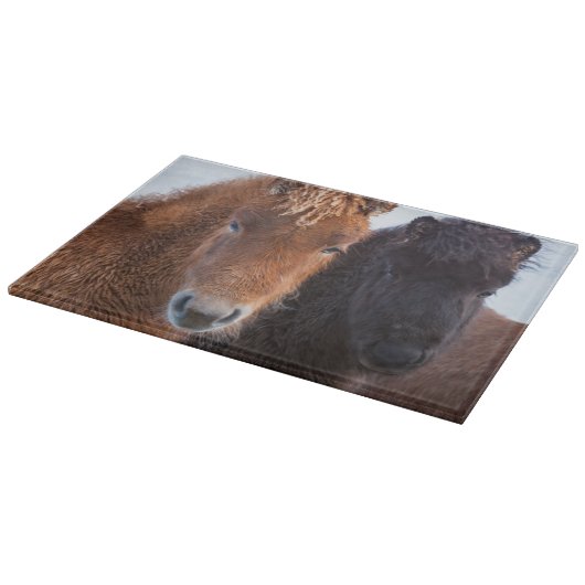 Planche À Découper Cheval islandais en hiver en Islande (Coin)