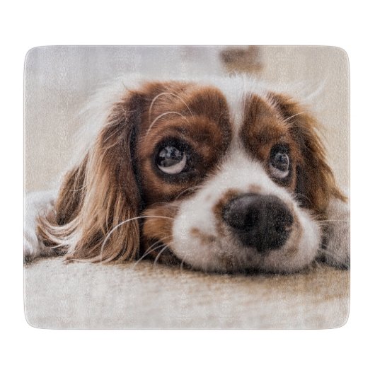 Planche À Découper Chien Espagnol Coqueur Triste (Devant)