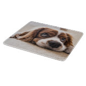 Planche À Découper Chien Espagnol Coqueur Triste (Coin)