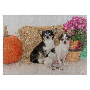 Planche À Découper Chihuahua est à l'automne