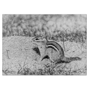 Planche À Découper Chipmunk Sketch