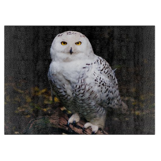 Planche À Découper Chouette hivernale majestueuse (Devant)