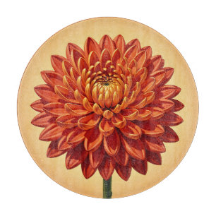 Planche À Découper Chrysanthème botanique rouge orange vibrant 