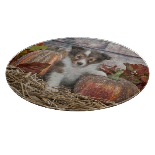 Planche À Découper Chute Shelter Puppy (Coin)