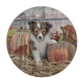 Planche À Découper Chute Shelter Puppy (Devant)