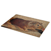 Planche À Découper Cobaye de regard de Corkboard (Coin)