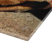 Planche À Découper Cobaye de regard de Corkboard (Coin)