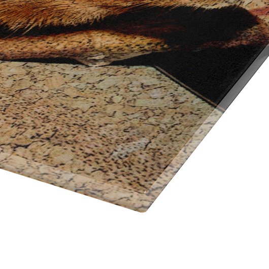 Planche À Découper Cobaye de regard de Corkboard (Coin)