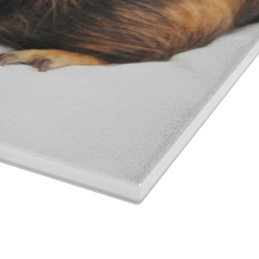 Planche À Découper Cochon de Guinée (Coin)