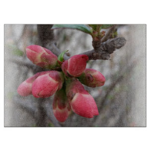 Planche À Découper coing sauvage florissant