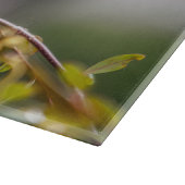 Planche À Découper Colibri 3346 (Coin)