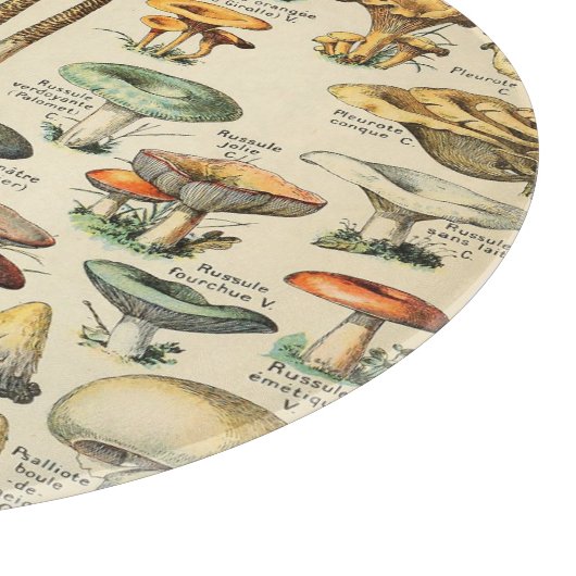 Planche À Découper Collection de champignons   (Coin)