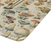 Planche À Découper Collection de champignons    (Coin)